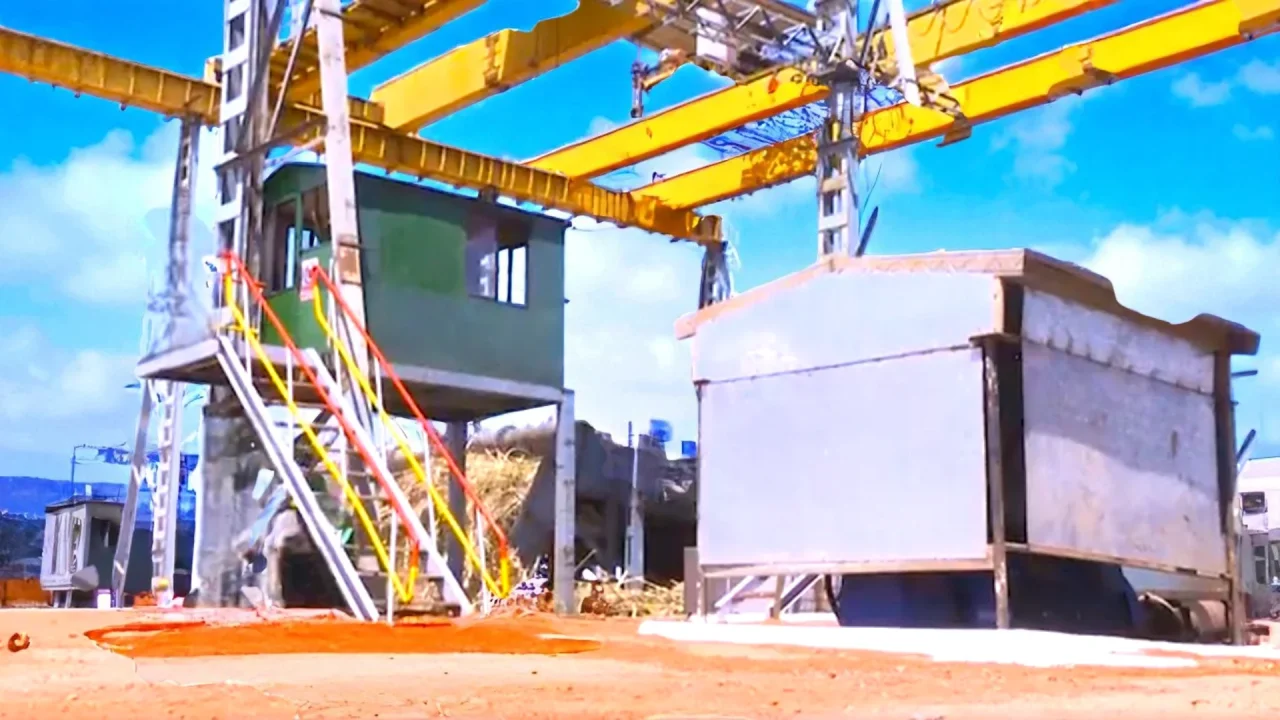 Sugar Plant