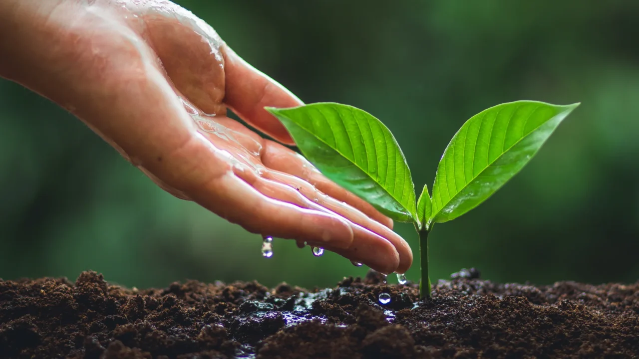 Sustainability