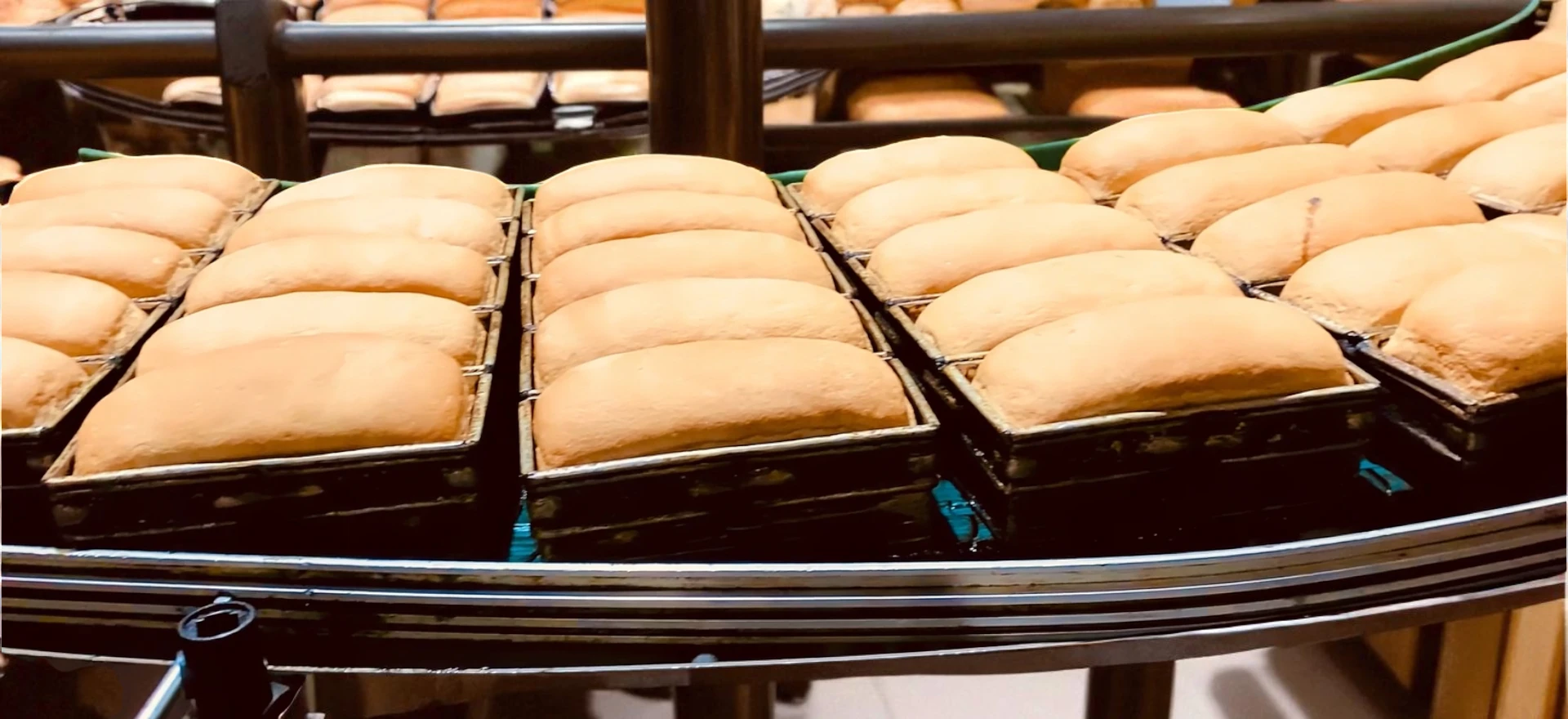 Tip Top breads